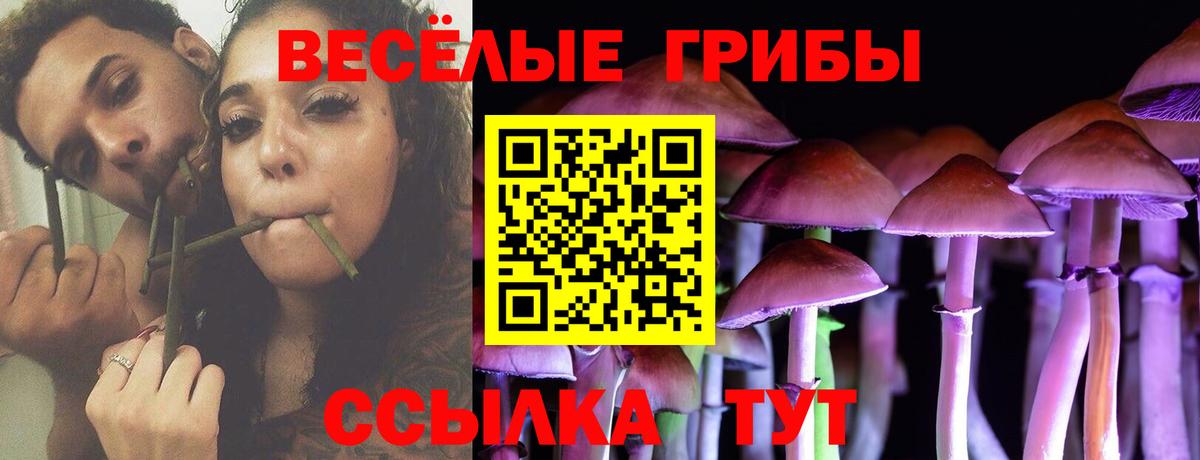 как найти наркотики  Галлюциногенные грибы Magic Shrooms  Вход с VPN  Псилоцибиновые грибы ЛСД  Донской 